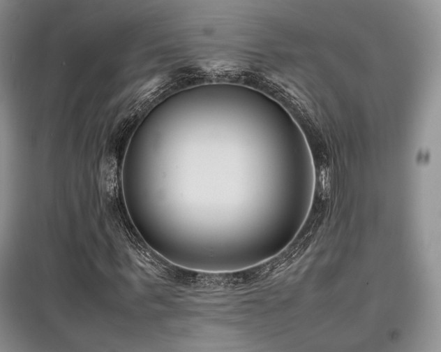 X0000097800963200803141050