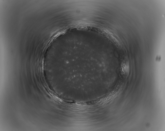 X0000097800964200803141050