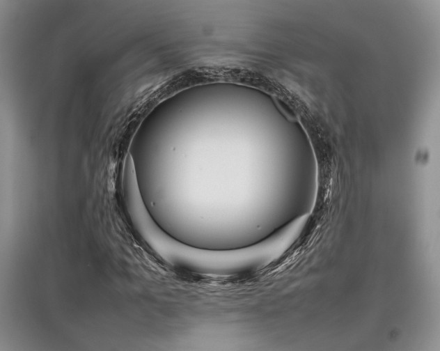 X0000097800965200803141050