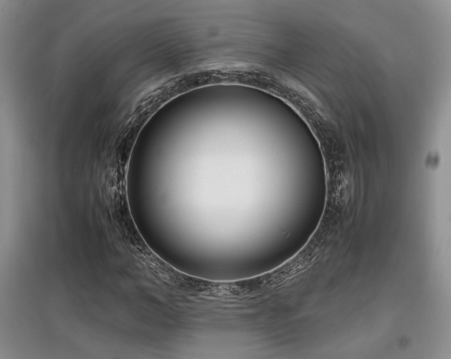 X0000097800966200803141050