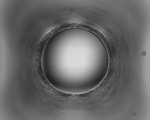 X0000097800967200803141050