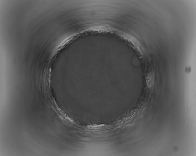 X0000097800968200803141050