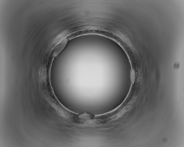 X0000097800969200803141050