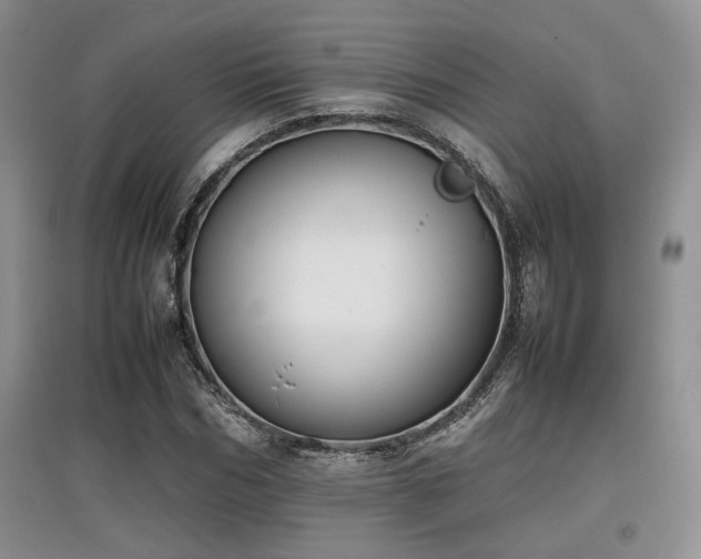 X0000097800970200803141050