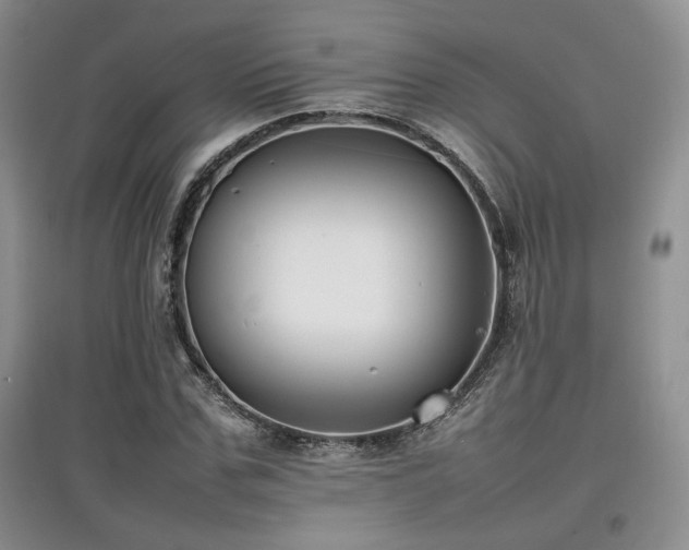 X0000097800971200803141050