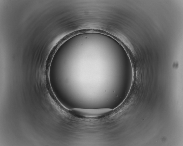 X0000097800972200803141050