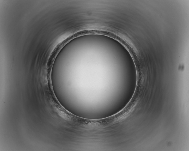 X0000097800974200803141050