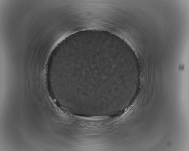 X0000097800975200803141050