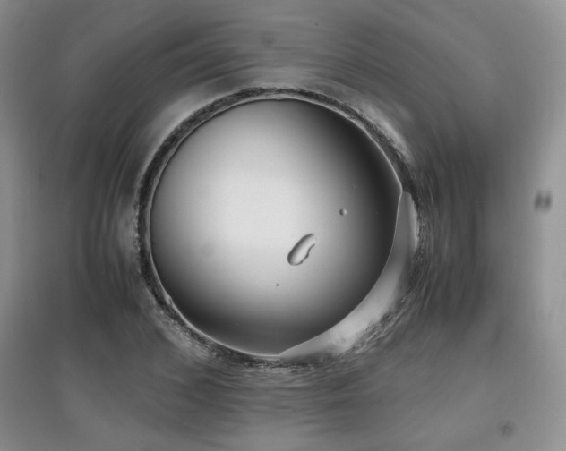 X0000097800976200803141050