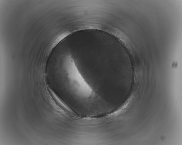 X0000097800977200803141050