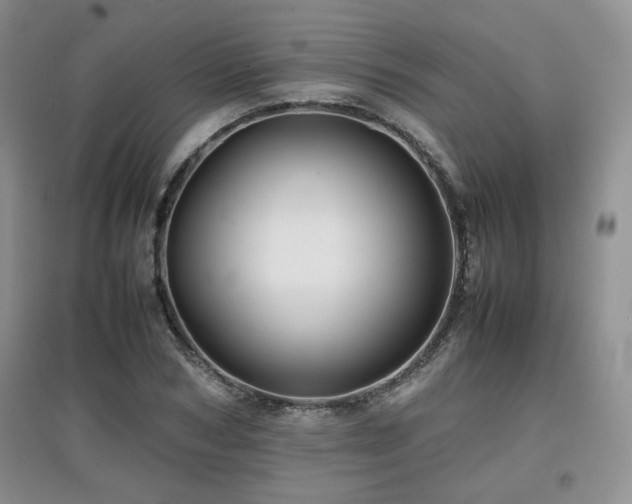 X0000097800978200803141050