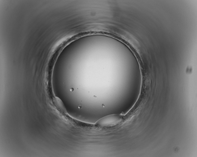 X0000097800979200803141050