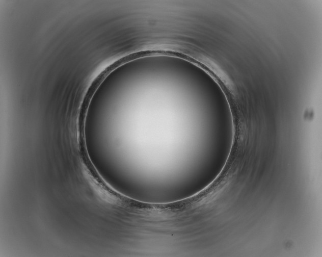 X0000097800980200803141050