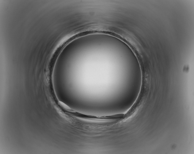 X0000097800981200803141050