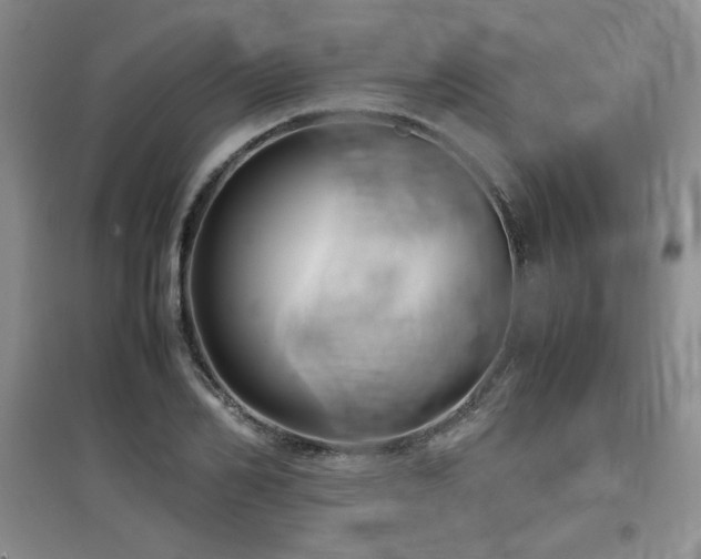 X0000097800982200803141050