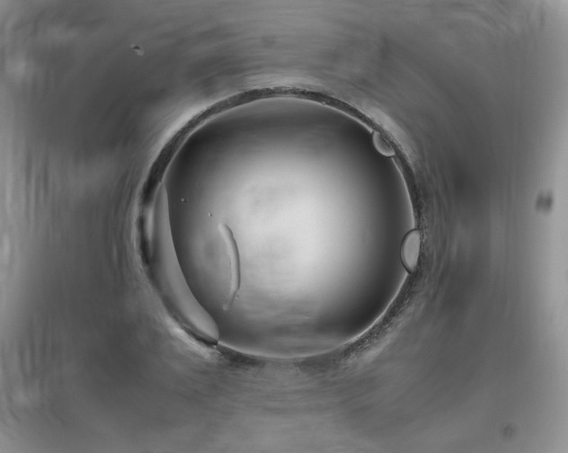 X0000097800983200803141050