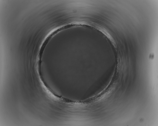 X0000097800984200803141050