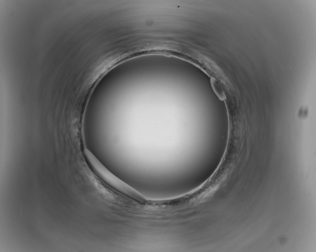 X0000097800985200803141050