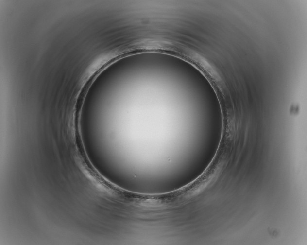 X0000097800986200803141050