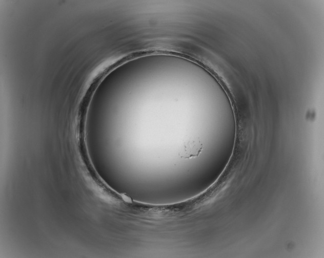 X0000097800987200803141050