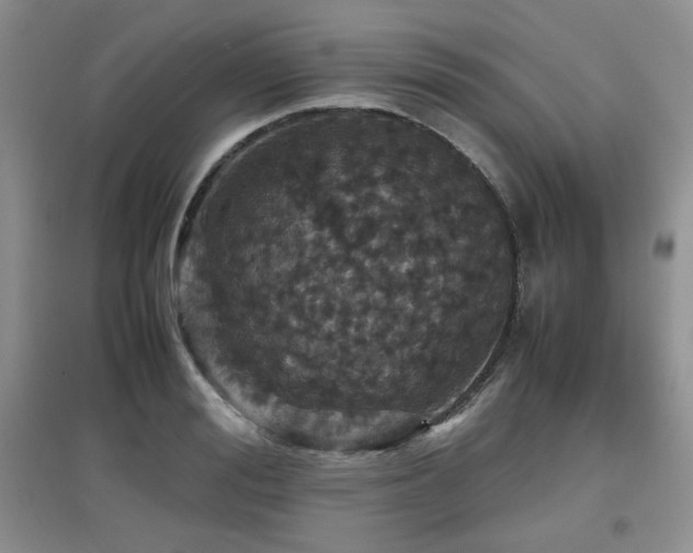 X0000097800988200803141050