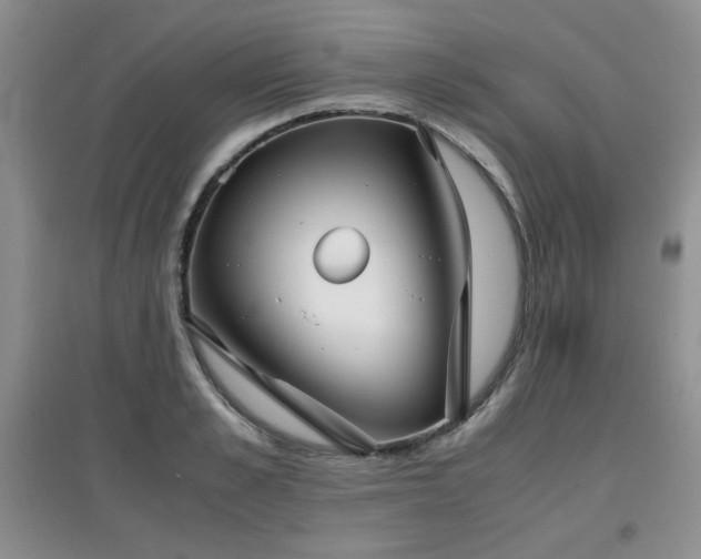 X0000097800989200803141050