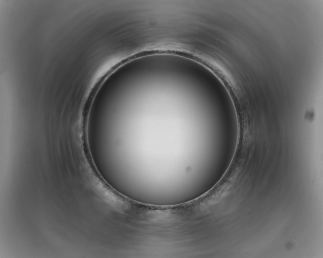 X0000097800990200803141050