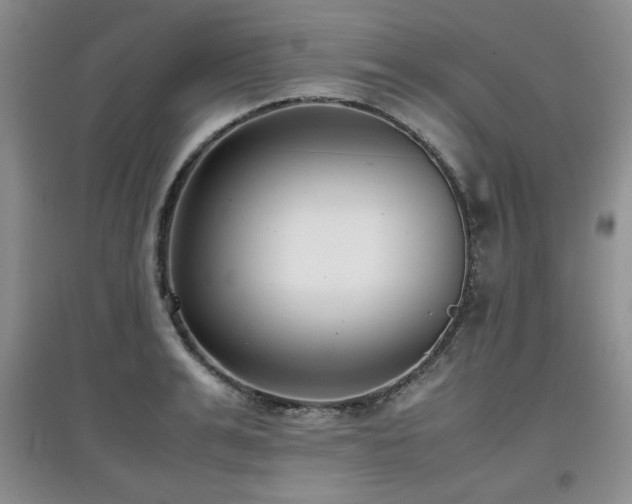 X0000097800991200803141050