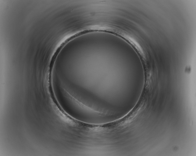 X0000097800992200803141050