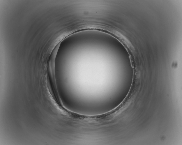 X0000097800993200803141050