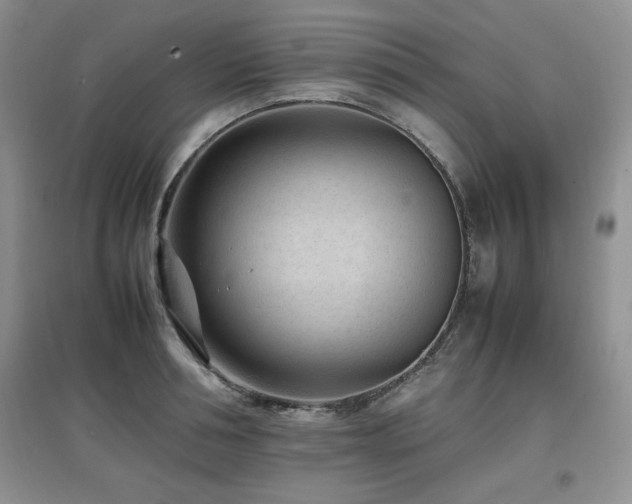 X0000097800994200803141050