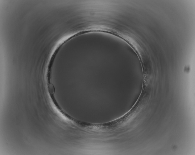 X0000097800995200803141050