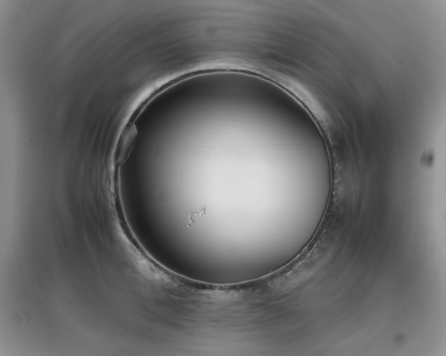 X0000097800996200803141050