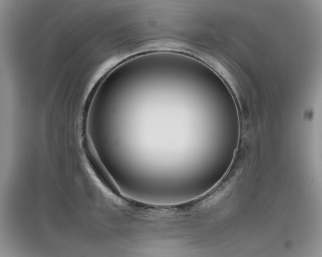 X0000097800997200803141050