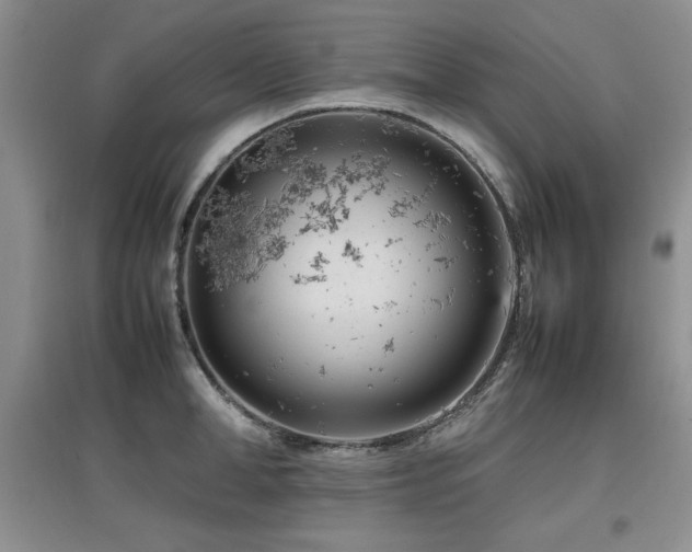 X0000097800998200803141050