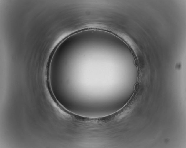 X0000097800999200803141050