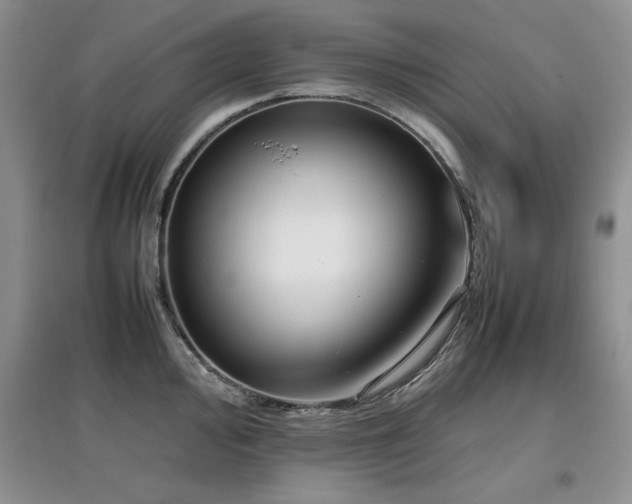 X0000097801000200803141050