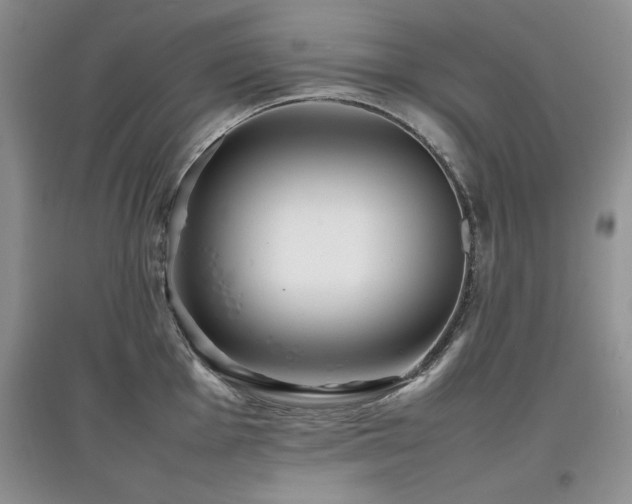 X0000097801001200803141050