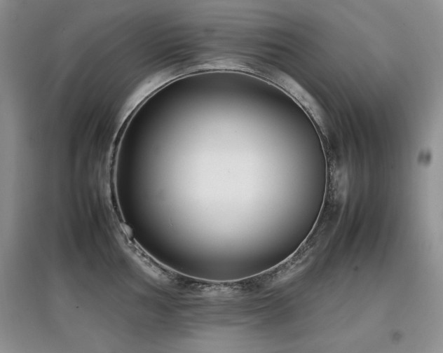 X0000097801002200803141050