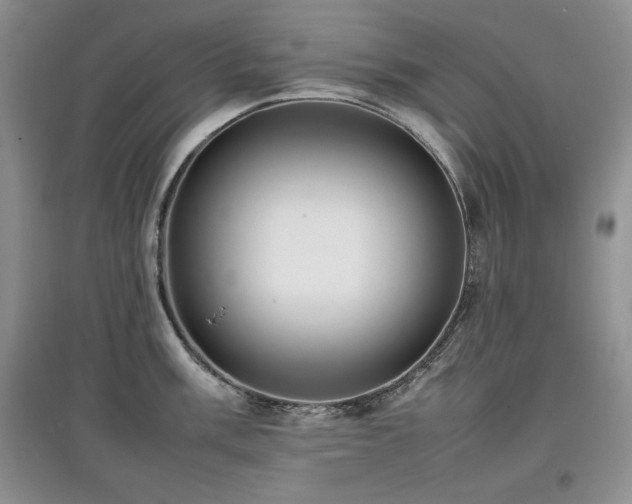 X0000097801003200803141050