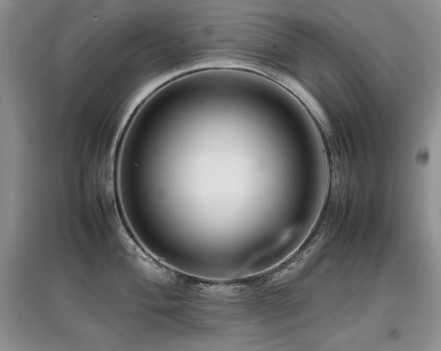 X0000097801004200803141050