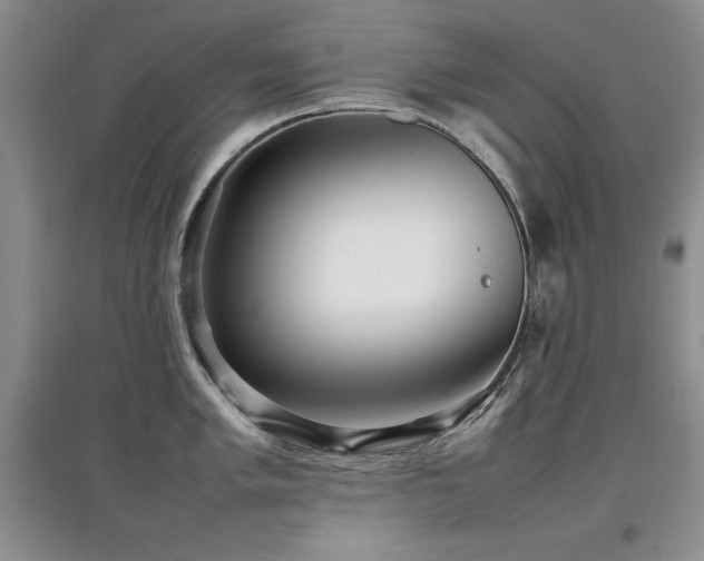 X0000097801005200803141050