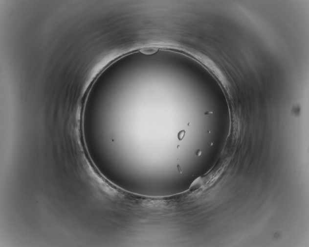 X0000097801006200803141050