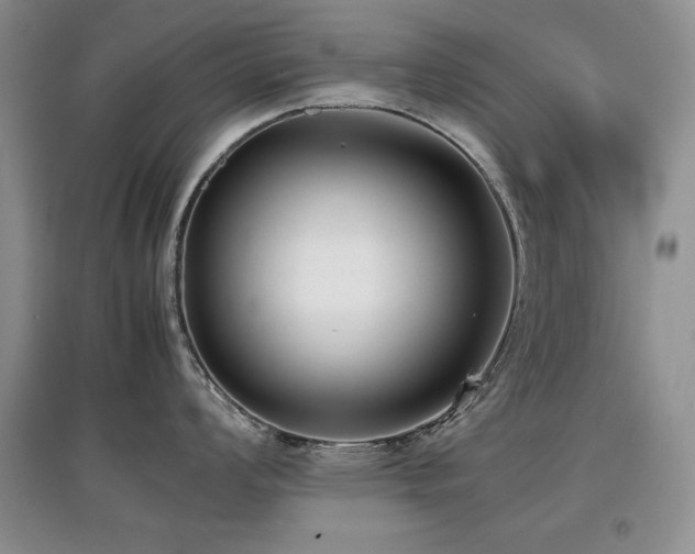 X0000097801008200803141049