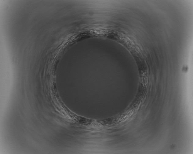 X0000097801009200803141049