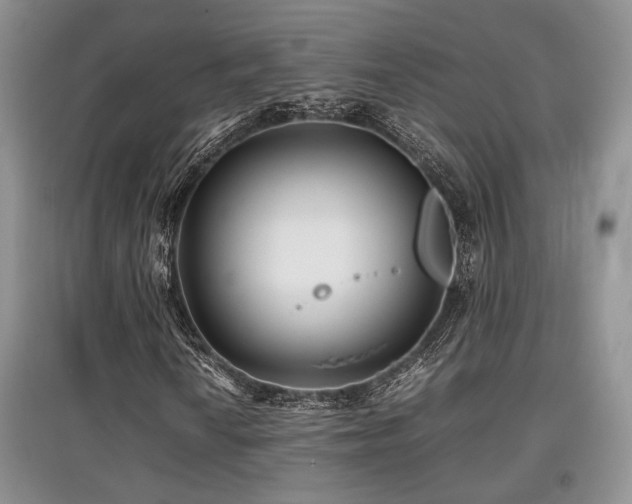 X0000097801010200803141049