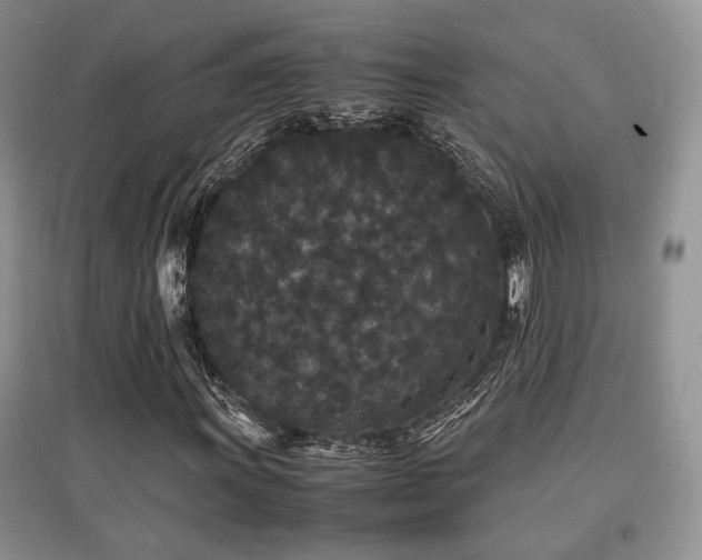 X0000097801011200803141049