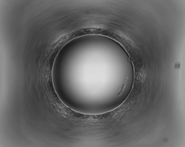 X0000097801014200803141049