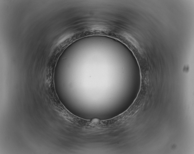 X0000097801015200803141049