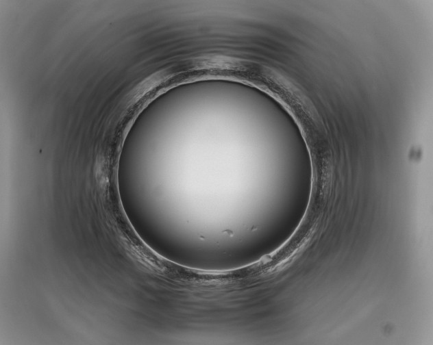 X0000097801017200803141049